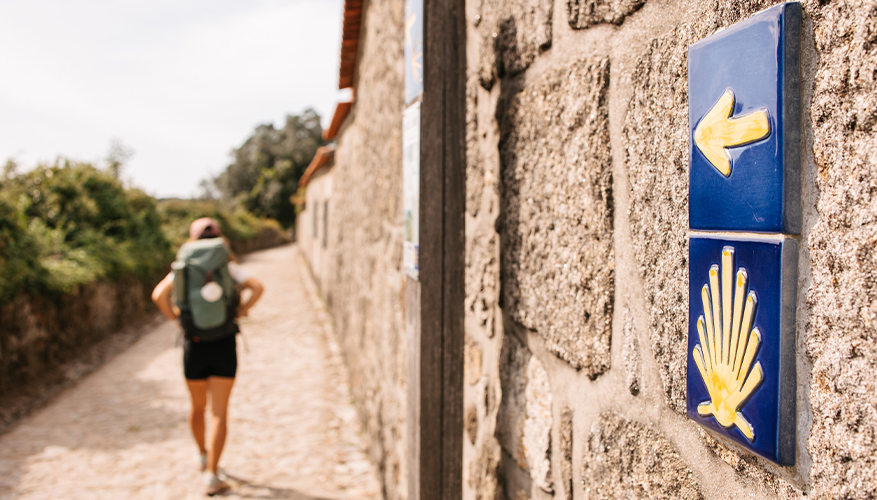 Camino de Santiago Hike